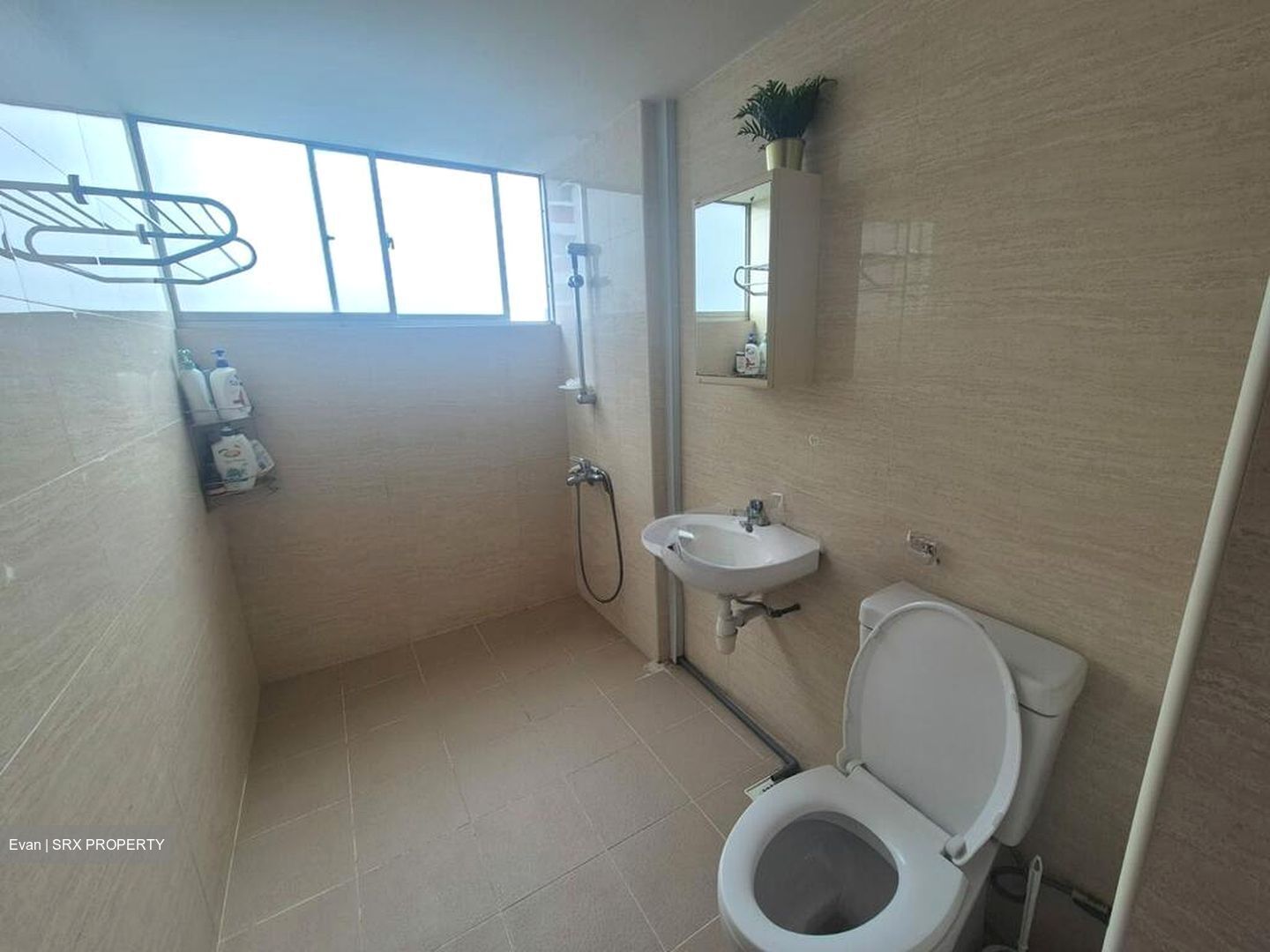 Lakeview Estate (D20), Apartment #509495401